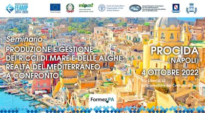Seminario – Produzione e gestione dei ricci di mare e delle alghe: realtà del medierraneo a confronto