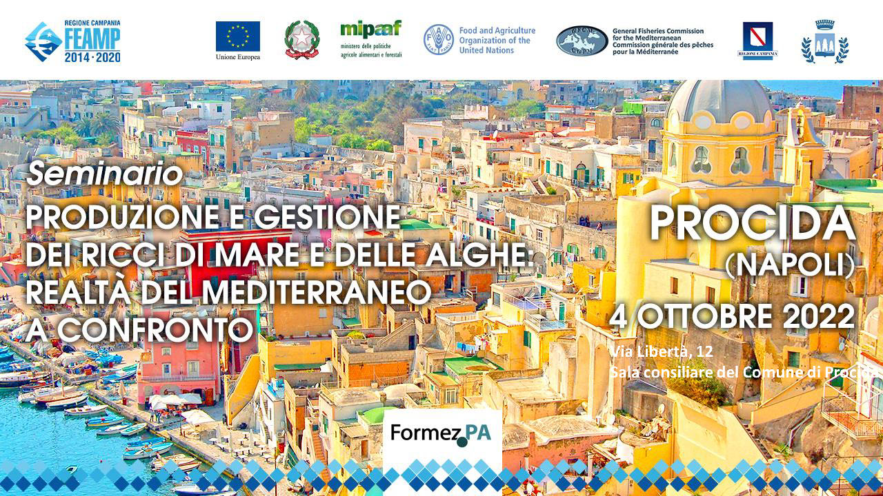 Seminario – Produzione e gestione dei ricci di mare e delle alghe: realtà del medierraneo a confronto