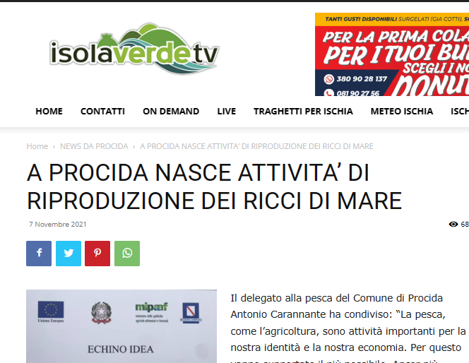 A PROCIDA NASCE ATTIVITA’ DI RIPRODUZIONE DEI RICCI DI MARE