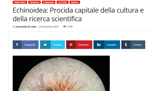 Echinoidea: Procida Capitale della cultura e della ricerca scientifica