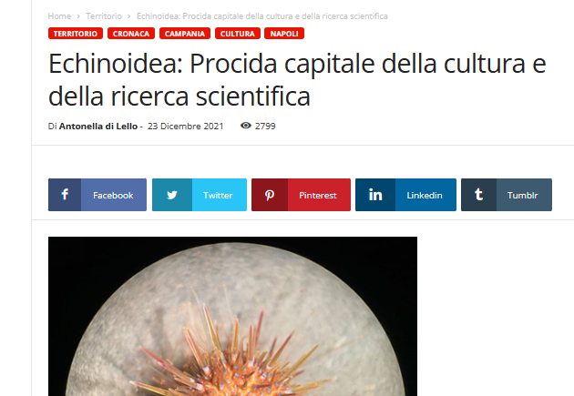 Echinoidea: Procida Capitale della cultura e della ricerca scientifica