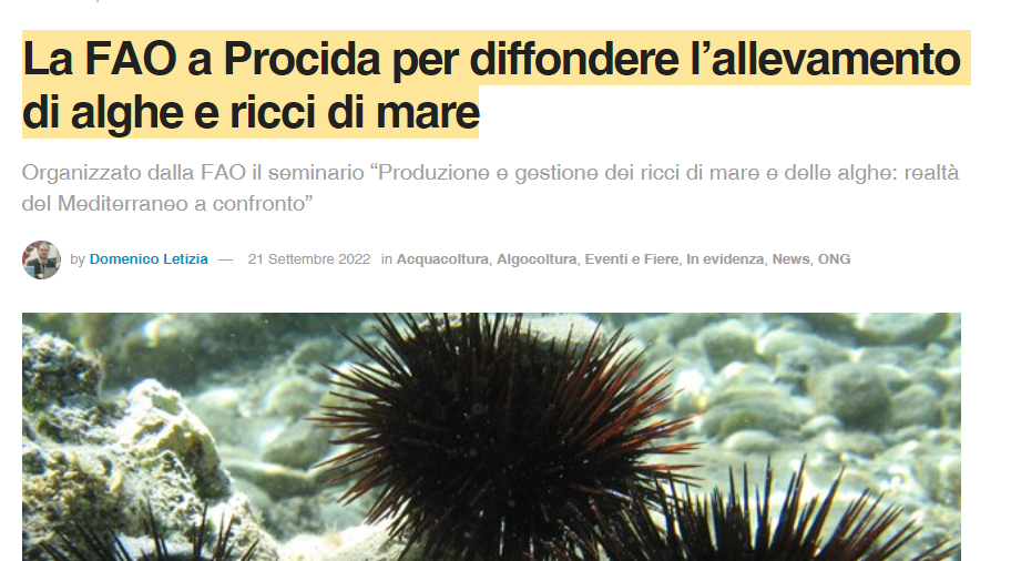 La FAO a Procida per diffondere l’allevamento di alghe e ricci di mare