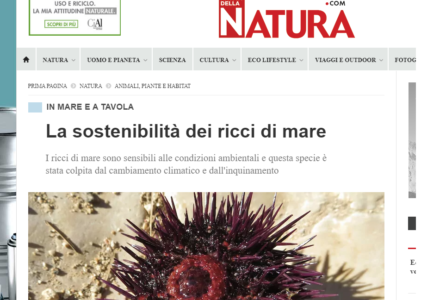 La sotenibilità dei ricci di mare