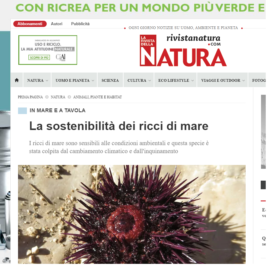 La sotenibilità dei ricci di mare