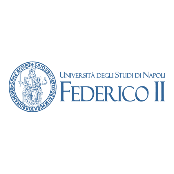 Università degli Studi di Napoli Federico II
